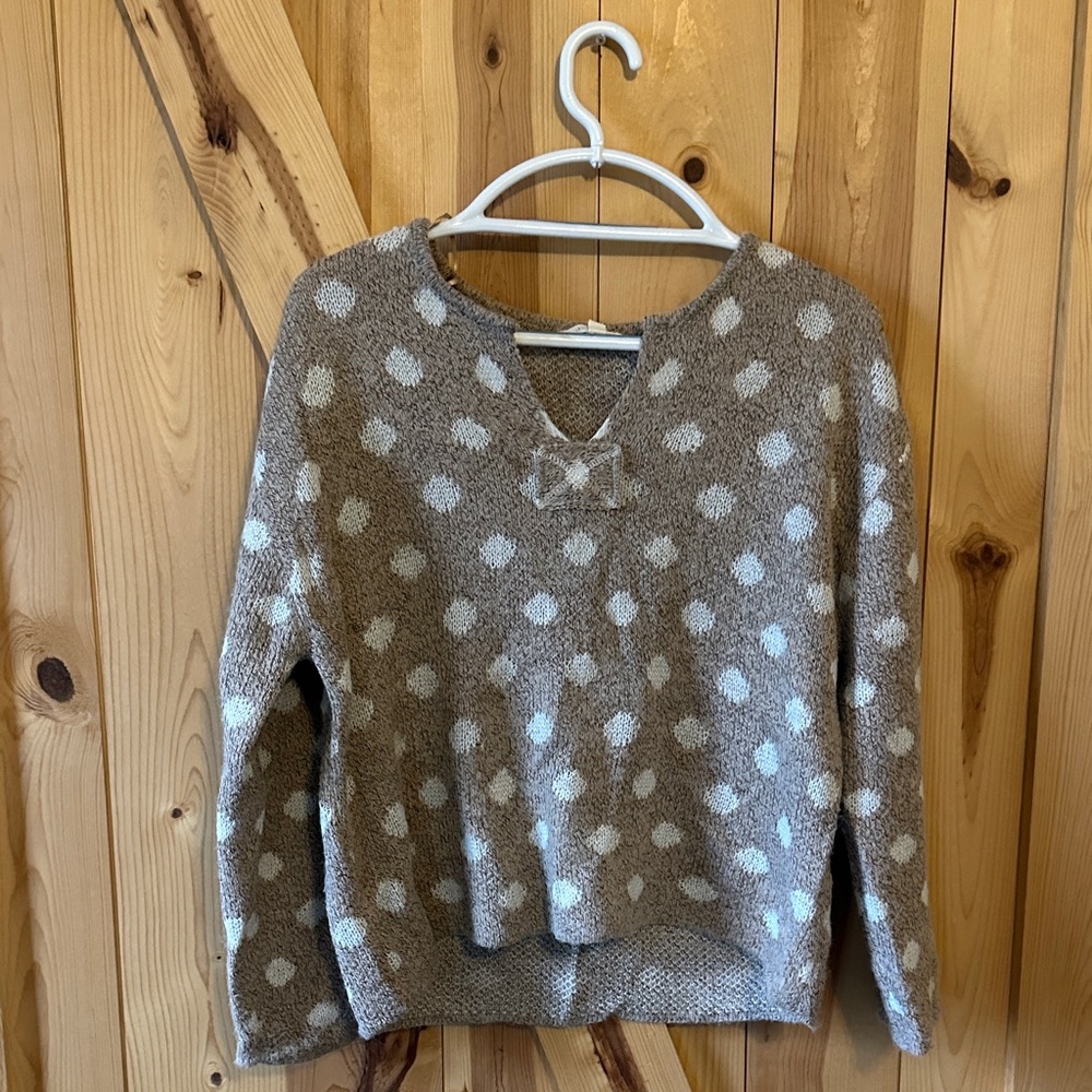 Francesca's Collections V-Neck Sweater in Brown and Cream